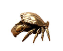 Brass Crab Statue for Gift-Brass Color