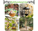 Plant Holder for Garden-Black