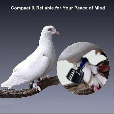 Mini Smart Pet Tracker with Collar - GPS Real-Time Location for Cats