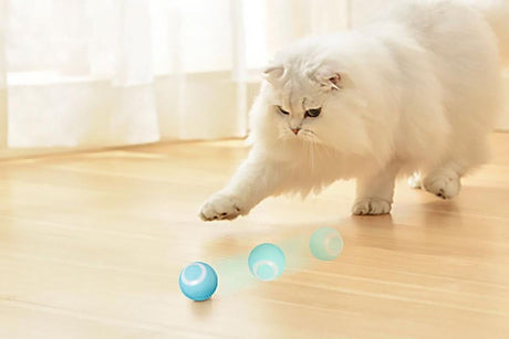 2PCS Interactive Smart Cat Toy Automatic Rolling Cat Ball Self-Moving Kitten Toys