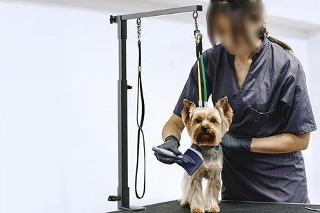 Dog Grooming Arm Pet Grooming Hammock Dog Grooming Stand with Loop Noose
