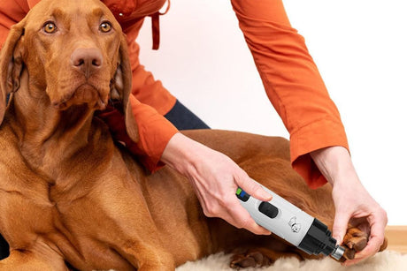 2-Speed Dog Nail Grinder Pet Nail Grinder Super Quiet Rechargeable Electric Dog Nail Trimmer for Large Medium Small Dogs