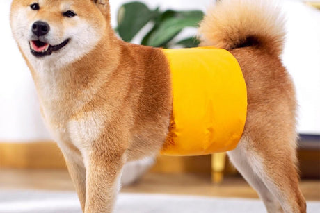 Washable Dog Diaper Water-resistant Puppy Nappy Belly Wrap for Male Dogs Reusable Dog Belly Bands Male Puppy Nappies Wrap Yellow - S