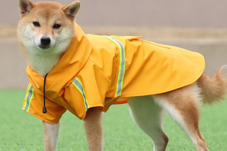 Pet Raincoat Outdoor Waterproof Dog Poncho for Small and Medium Dogs - Yellow