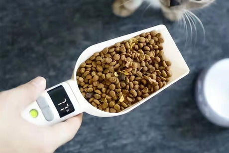 Digital Pet Weighing Spoon High Accuracy Detachable Kitchen Spoon Scale