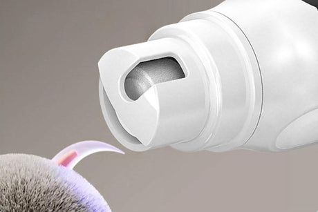 Pet Nail Grinder with LED Display Dog Nail Trimmers With 3 Speeds For Small Large Dogs And Cats