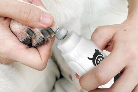 Pet Nail Grinder with LED Display Dog Nail Trimmers With 3 Speeds For Small Large Dogs And Cats