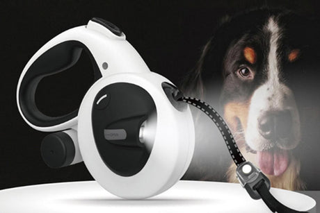 5m Auto Retractable Dog Leash with LED Light Pet Walking Lead for Small Medium Large Dogs - M