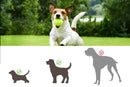 Dog Ball Launcher Thrower Automatic Tennis Fetch Throwing Machine with 3 Balls -Light Green