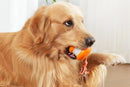 Interactive Pet Rolling Ball Toy Rechargeable Automatic Play Ball for Cats and Dogs - Orange