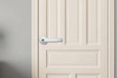 5 in 1 Smart Door Lock Fingerprint Door Knob with IC Cards and Backup Keys - Silver