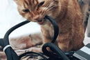 No Chew Cord Protector for Pets Bite Resistant Cable Sleeve for Cats Dogs Rabbits - S