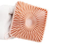 Dual Sided 2 In 1 Silicone Body Shower Scrubber Body Brush Buffer Scrubber - Pink