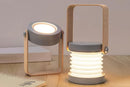 LED Desk Lamp for Office Home Wireless Reading Lamp Dimmable Foldable LED Night Light Portable Camping Flashlight Table Lamp -Grey