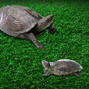 Turtle Basking Platform Simulation Grass Turtle Ramp for Fish Tank Aquarium - S