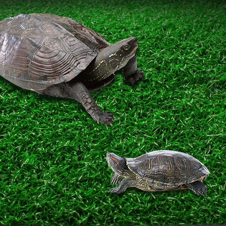 Turtle Basking Platform Simulation Grass Turtle Ramp for Fish Tank Aquarium - M