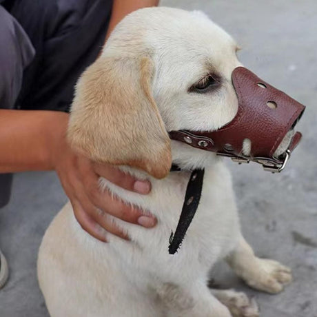 Adjustable PU Leather Dog Muzzle Pet Breathable Anti Bite Bark Chew Muzzles Brown - S