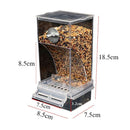 Automatic Cage Bird Feeder Outside