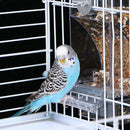 Automatic Cage Bird Feeder Outside