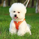 Pet Cat Harness and Leash Set Breathable Vest with Reflective Strip for Kitten Walking Traveling Orange - M