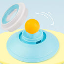 2PCS Non-Slip Slow Feeder Bowl for Dogs & Cats