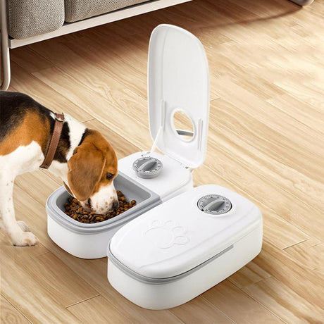 Timer Controlled Pet Feeder for Cats & Small Dogs Wet/Dry Food Style 2