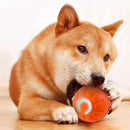 2Pcs 4.5CM Automatic Moving Ball Toy for Cats USB Rechargeable Interactive Vibrating Cat Toy