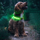 Luminous LED Pet Dog Collar Light-up USB Rechargeable Dog Collar Green - S