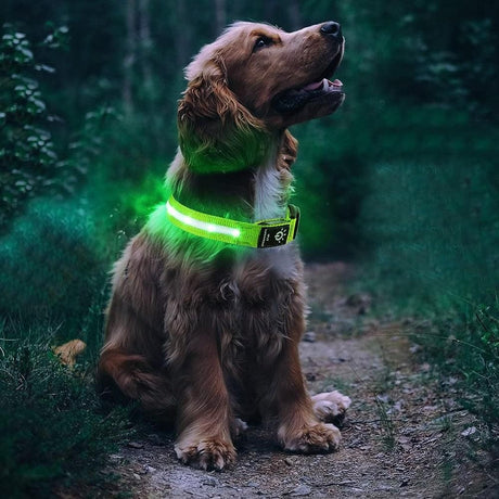 Luminous LED Pet Dog Collar Light-up USB Rechargeable Dog Collar Green - S
