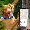 Luminous LED Pet Dog Collar Light-up USB Rechargeable Dog Collar Blue - L