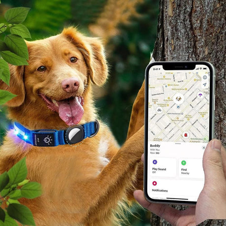 Luminous LED Pet Dog Collar Light-up USB Rechargeable Dog Collar Blue - L