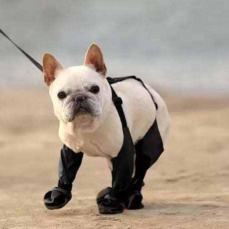 Waterproof Pet Boots Dog Rain Shoes for Outdoor Use - L
