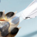 Dog Paw Trimmer with LED Light Rechargeable Pet Hair Clippers for Small Dogs Cats White
