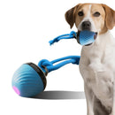 Squeaky Rolling Ball Dog Toy - Interactive Motion-Activated Chew Toy for Dogs Red