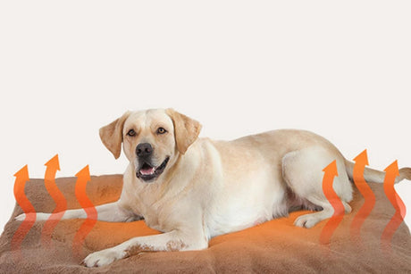 2Pcs Pet Blanket Self-Heating Bed Pad Cat Dog Self-Warming Cushion-Khaki S