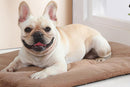 2Pcs Pet Blanket Self-Heating Bed Pad Cat Dog Self-Warming Cushion-Khaki L