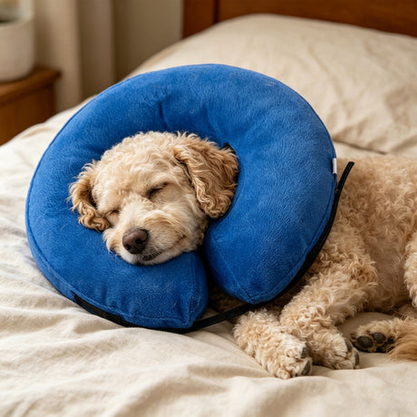 Inflatable Dog Cone Collar Alternative, Soft Dog Cone for Small Medium Large Dogs and Cats, Neck Recovery ECollar After Surgery,L