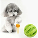2 Large Pet Treat Dispenser Balls, 7CM - Durable Teething and Dental Care Toys - Yellow