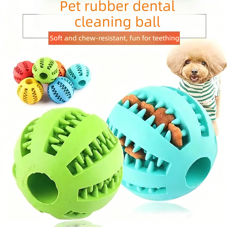 2 Large Pet Treat Dispenser Balls, 7CM - Durable Teething and Dental Care Toys - Green
