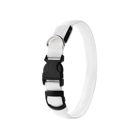 Pet LED Light-Up Collar, Large, Adjustable, USB Rechargeable, for Cats and Dogs, Nighttime Anti-Lost - White