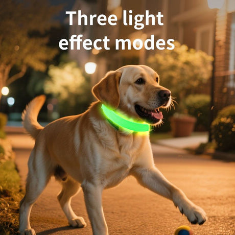 LED Light-Up Pet Collar, Large, Adjustable, USB Rechargeable, for Cats and Dogs, Nighttime Anti-Lost– Blue