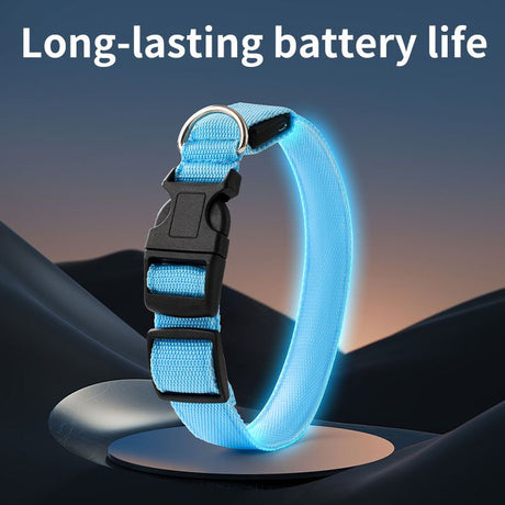 Pet LED Light-Up Collar, Large, Adjustable, USB Rechargeable, for Cats and Dogs, Nighttime Anti-Lost - Green