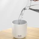Flower Nozzle Mini USB Humidifier, 250ml Portable Cool Mist Humidifier with RGB Night Light, for Car, Bedroom, or Desk - Gray
