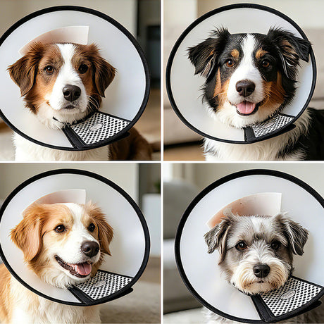 Classic Elizabethan Collar - Anti-Licking Collar - Multiple Sizes - Adjustable - Bite-Resistant - Transparent - Flea & Tick Prevention & Anti-Licking - Velcro Closure - For Cats & Dogs -22-26CM - 1 Piece