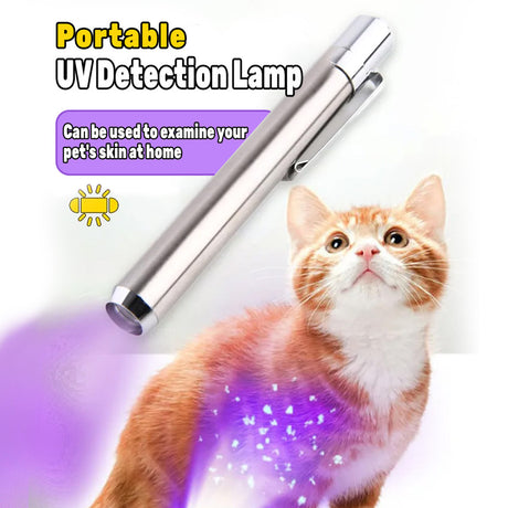 365nm UV Detection Light - Home Use Fluorescent Currency Authentication and Counterfeit Detection - Portable Stainless Steel - Multi-Function UV Detection Light (Batteries Included)