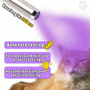 365nm UV Detection Light - Home Use Fluorescent Currency Authentication and Counterfeit Detection - Portable Stainless Steel - Multi-Function UV Detection Light (Batteries Included)