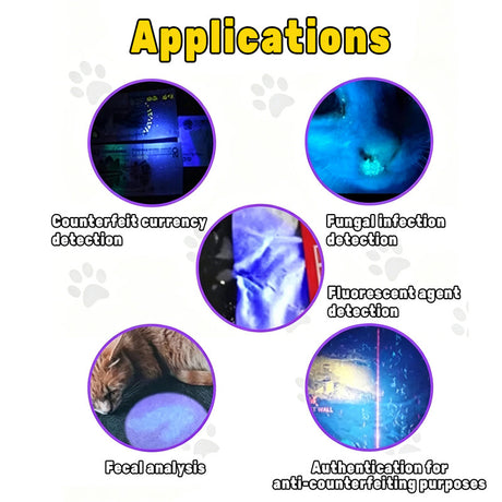 365nm UV Detection Light - Home Use Fluorescent Currency Authentication and Counterfeit Detection - Portable Stainless Steel - Multi-Function UV Detection Light (Batteries Included)