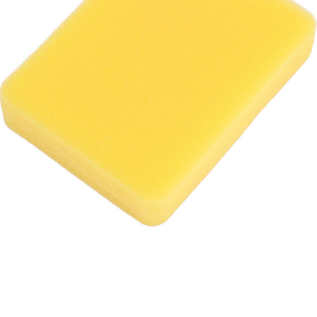 10 PCS 799579 Air Filter for 300e 450e 500e Series Engine Replacement Air Filter Accessories