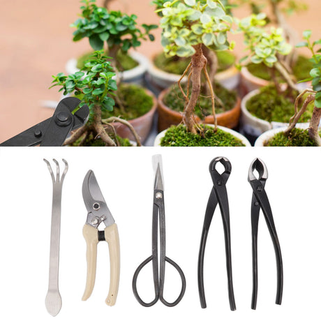 5Pcs Bonsai Tool Set Kit Carbon Steel Bonsai Scissors Rake Branch Cutter Pruning Shears Pliers Garden Tools