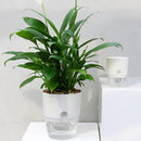 3PCS Self Watering Planter Pots Double Layer Green Plant Flower Pot for Garden Balcony Indoor Cultivation